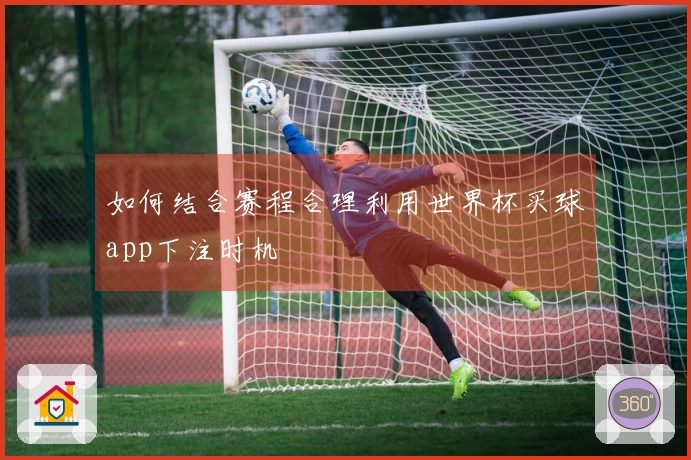 如何结合赛程合理利用世界杯买球app下注时机