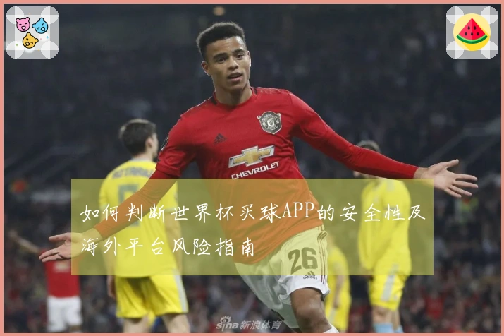 如何判断世界杯买球APP的安全性及海外平台风险指南