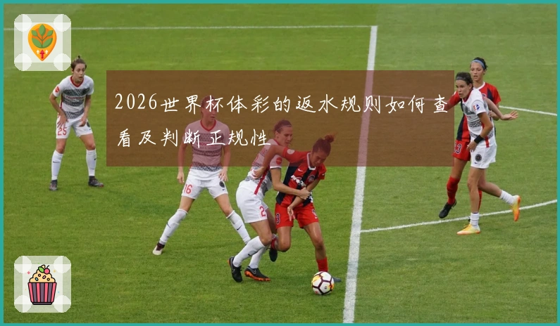 2026世界杯体彩的返水规则如何查看及判断正规性
