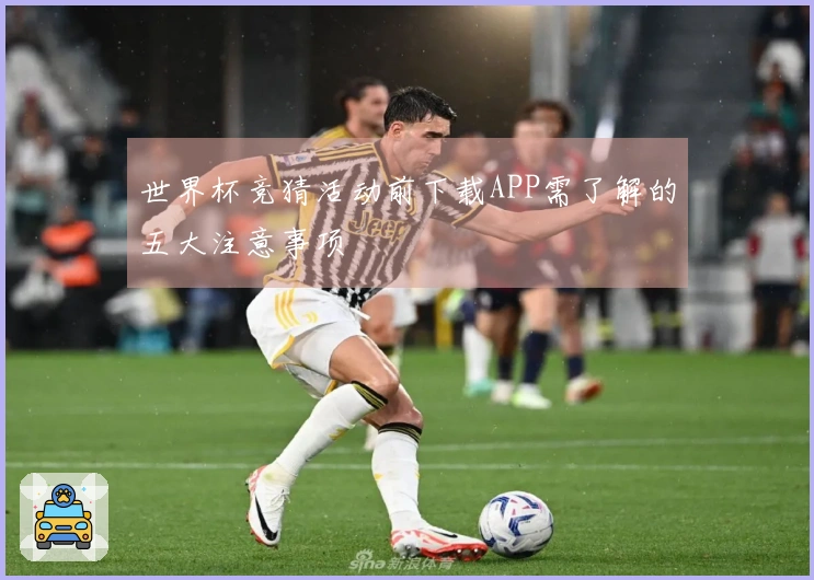 世界杯竞猜活动前下载APP需了解的五大注意事项