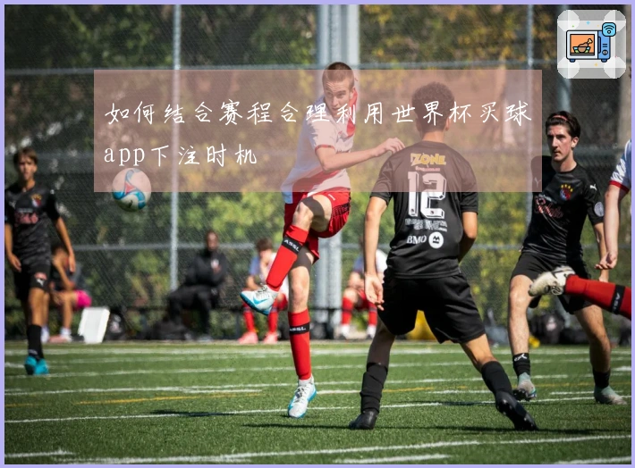 如何结合赛程合理利用世界杯买球app下注时机
