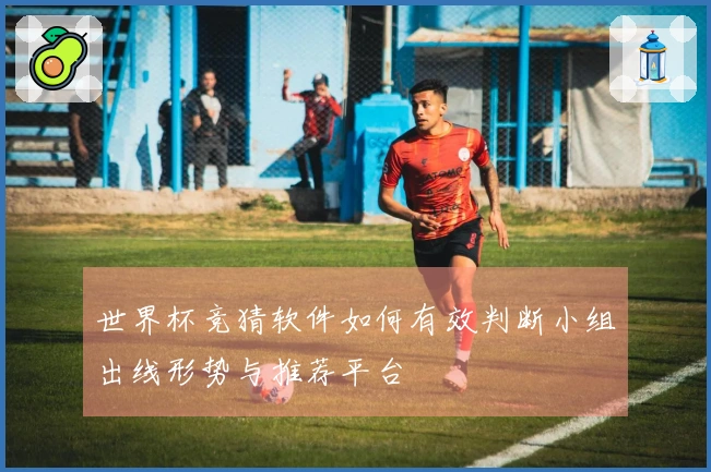 世界杯竞猜软件如何有效判断小组出线形势与推荐平台